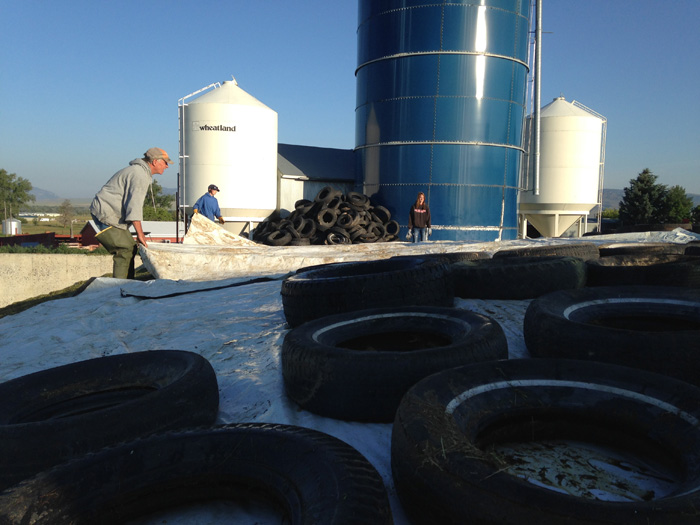 tarp and tire