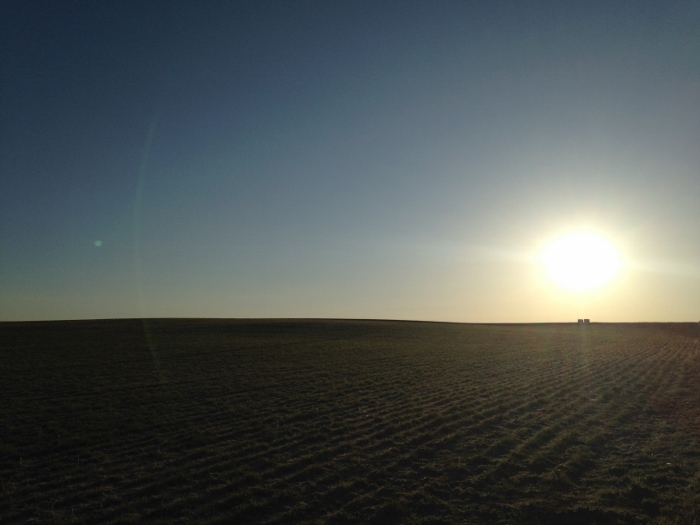 Cooper Hereford Ranch Sunrise