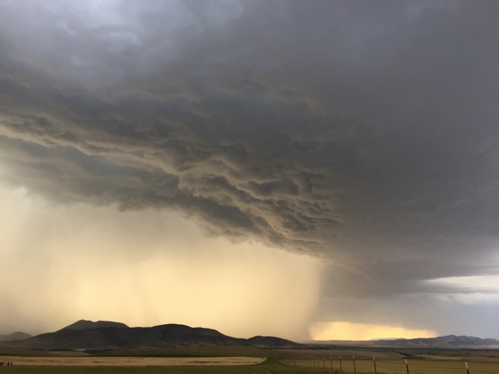 Stormy Skies Cooper Hereford Ranch