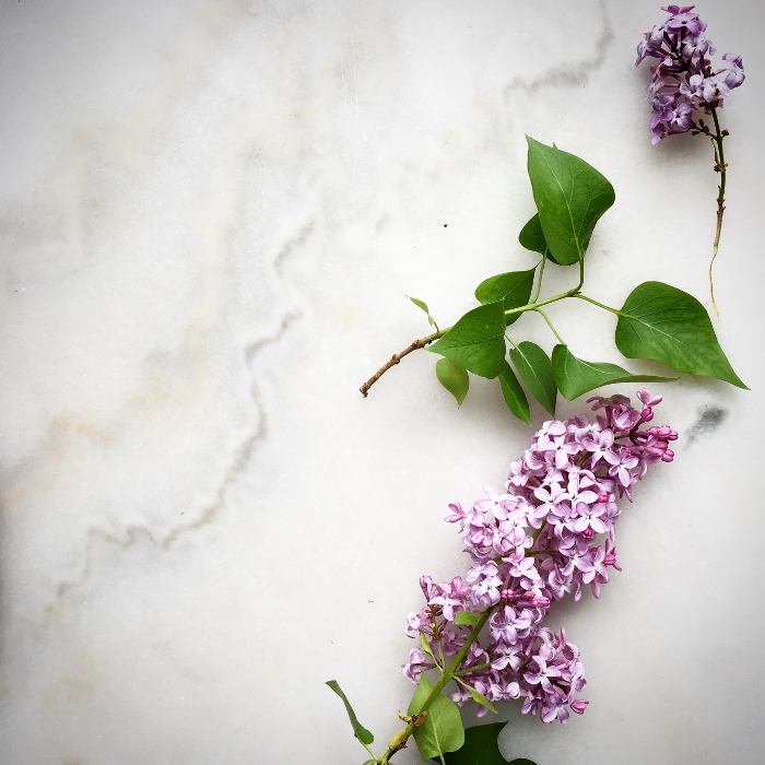 Lilacs